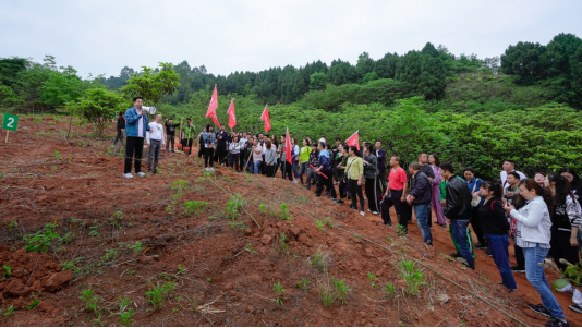 省欧博abg集团开展龙泉山都会森林公园 “包山头”植树运动